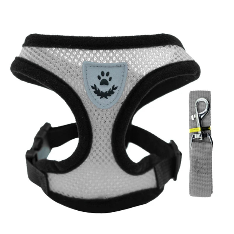 Summer small dog pet chest and back breathable dog chest and back suit cat outdoor traction rope child collar