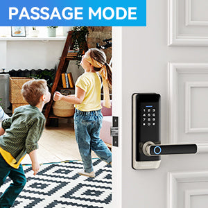 Smart Door Lock, TMEZON Keyless Entry  Fingerprint Door Lock with Keypad Digital Door Lock with Handle for Home, Remote/Card