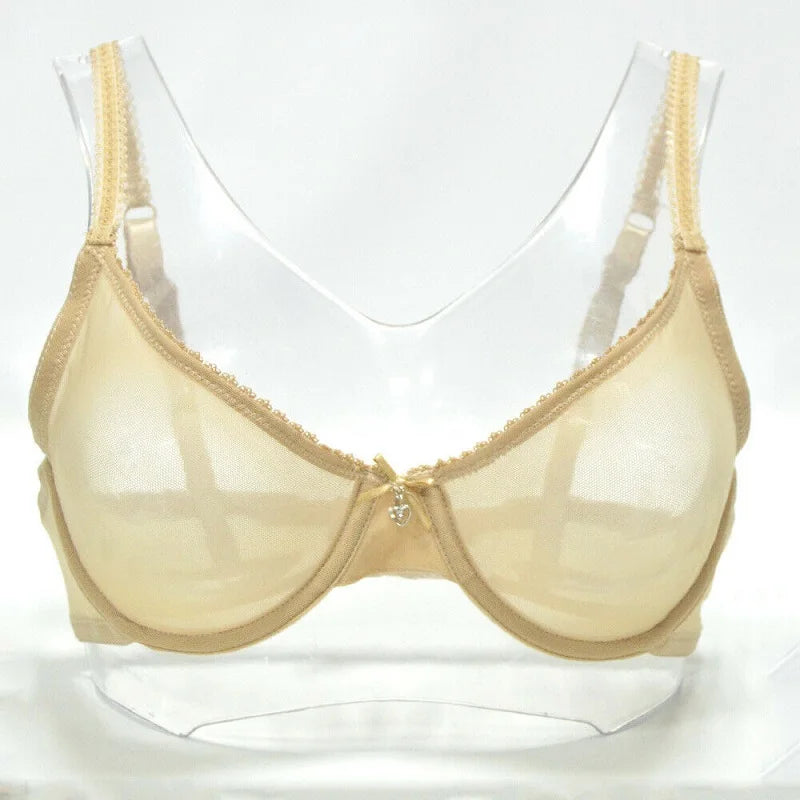 Women mesh bra see through panties M L XL XXL XXXL sexy gauze Thin transparent Bras B C D E F 75 80 85 90 95 100 Dropship