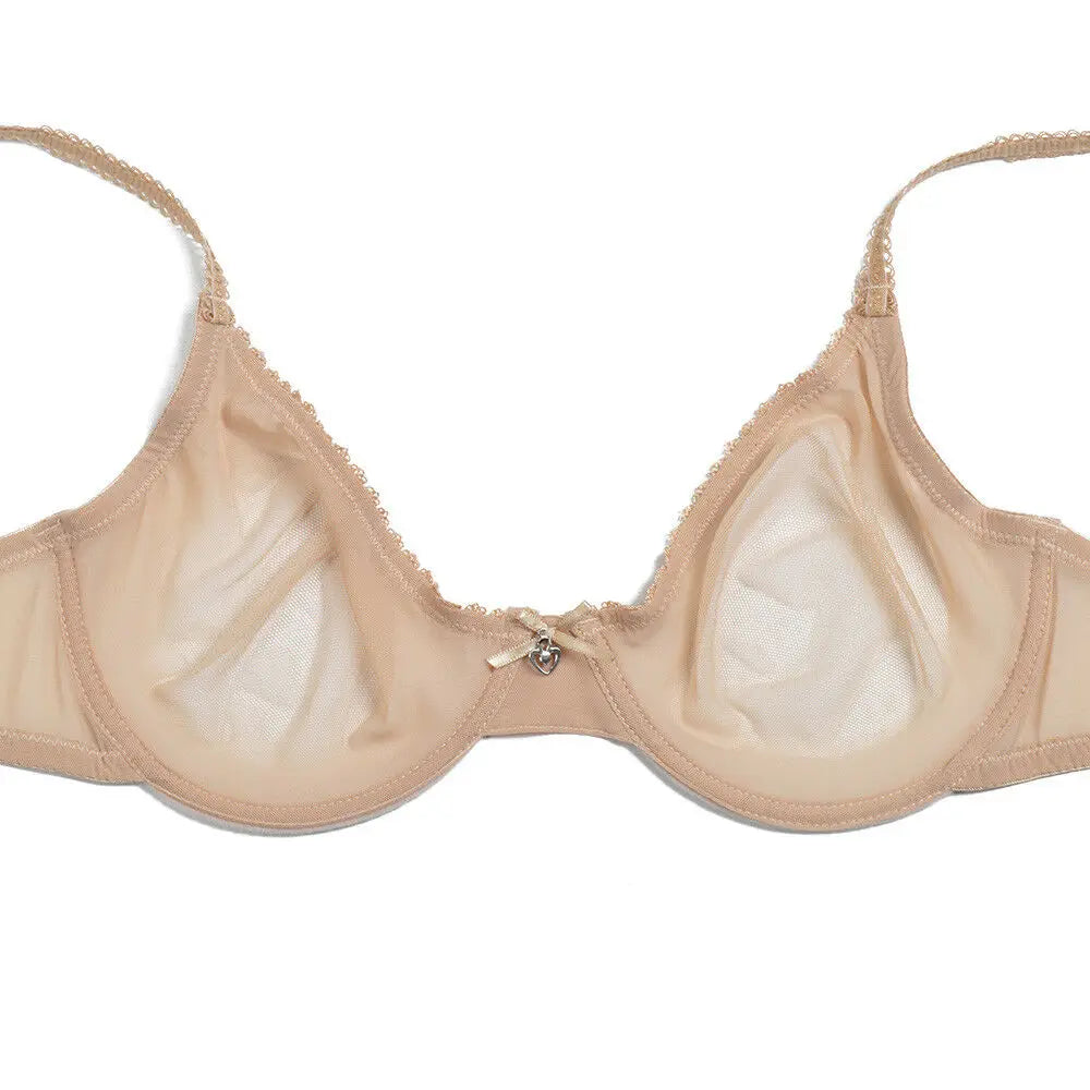 Women mesh bra see through panties M L XL XXL XXXL sexy gauze Thin transparent Bras B C D E F 75 80 85 90 95 100 Dropship