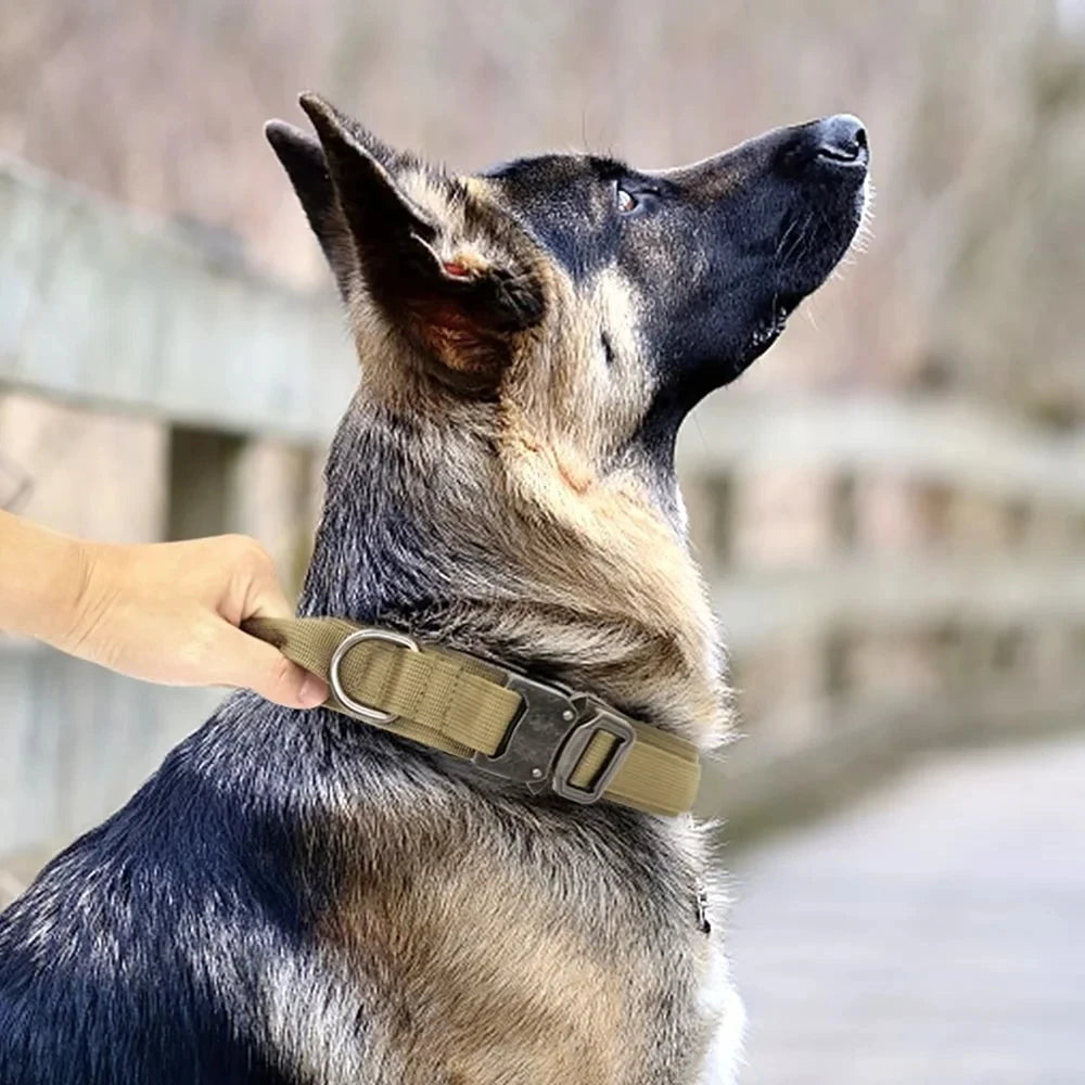 Tactical Police Dog Collar Military Adjustable Duarable Nylon German Shepard For Medium Large Walking Training Pet Accessories