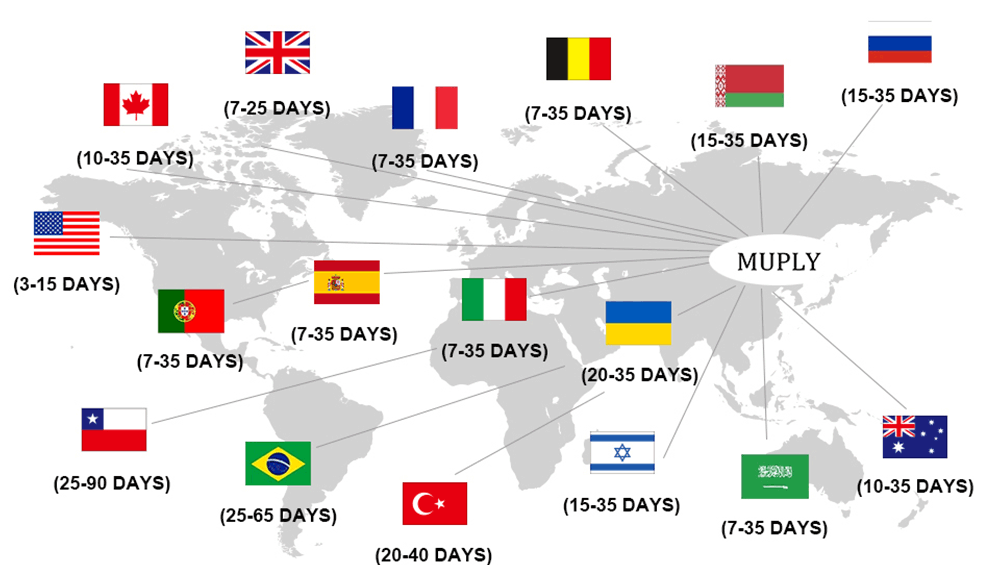 Baby Toddler Shoes Baby Girls Boys Canvas Sneakers Soft Sole High-Top Ankle Infant First Walkers Crib Shoes