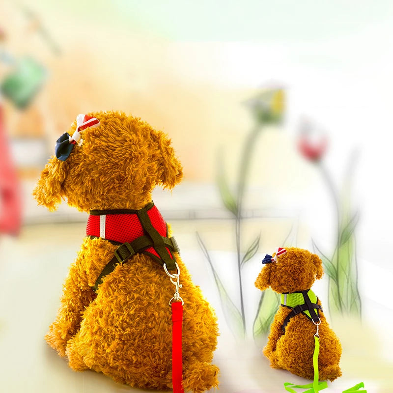 Summer small dog pet chest and back breathable dog chest and back suit cat outdoor traction rope child collar