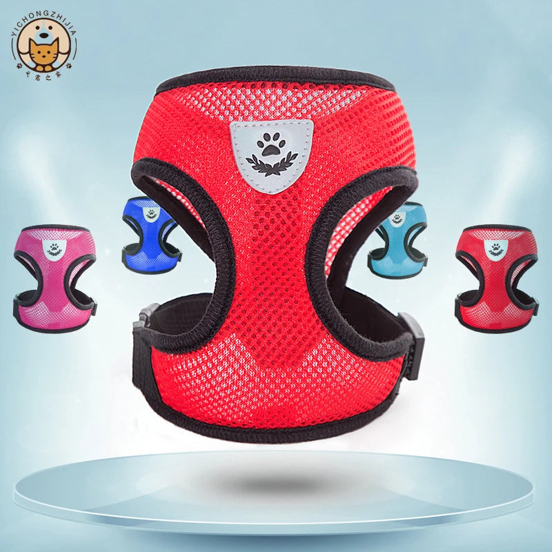 Summer small dog pet chest and back breathable dog chest and back suit cat outdoor traction rope child collar