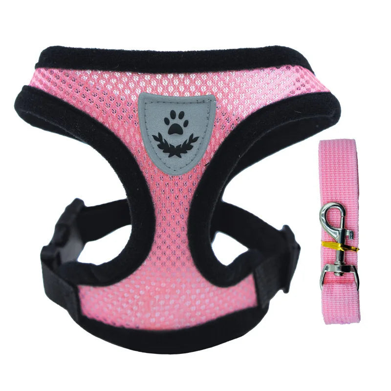 Summer small dog pet chest and back breathable dog chest and back suit cat outdoor traction rope child collar