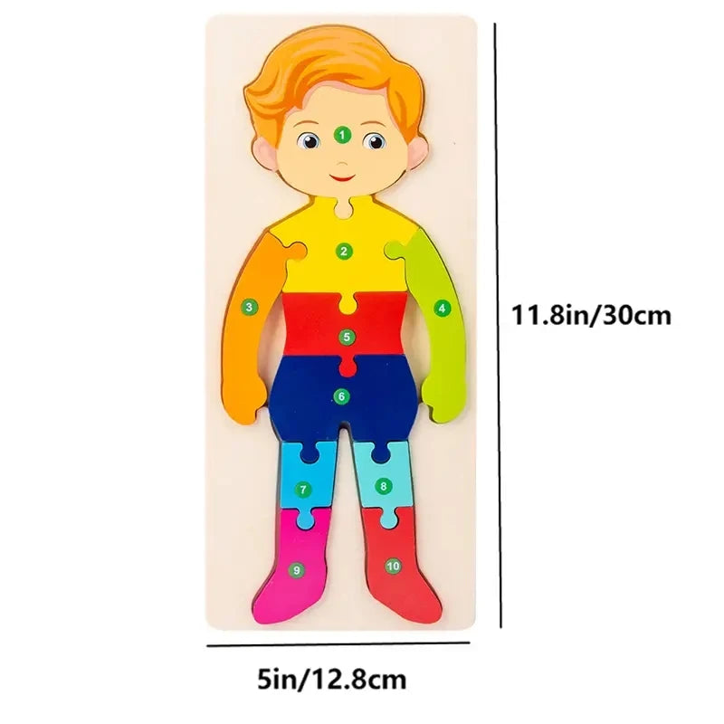 Wooden Puzzles for Kids,  Number Puzzle,  Dinosaur Puzzles and Animal ,Traffic,Characte Jigsaw Toys for Boy Girl Ideal Gift, 1-6