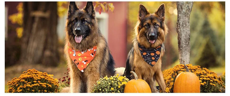 Halloween Pet Drool Scarf Cat Dog Triangle Scarf Pet Holiday Atmosphere Scarf Fun Pet Accessories Christmas Pet Supplies
