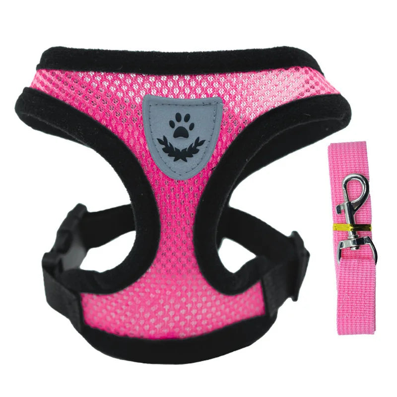 Summer small dog pet chest and back breathable dog chest and back suit cat outdoor traction rope child collar