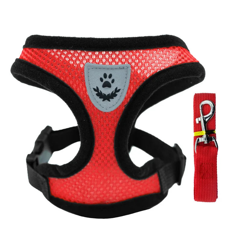 Summer small dog pet chest and back breathable dog chest and back suit cat outdoor traction rope child collar