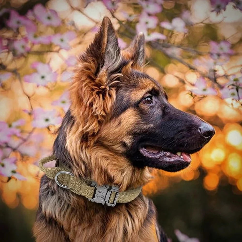 Tactical Police Dog Collar Military Adjustable Duarable Nylon German Shepard For Medium Large Walking Training Pet Accessories