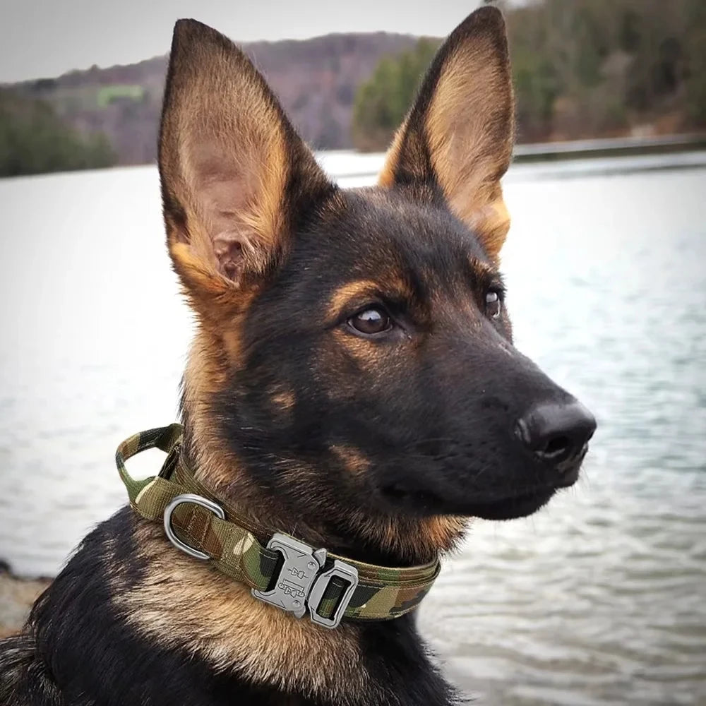 Tactical Police Dog Collar Military Adjustable Duarable Nylon German Shepard For Medium Large Walking Training Pet Accessories