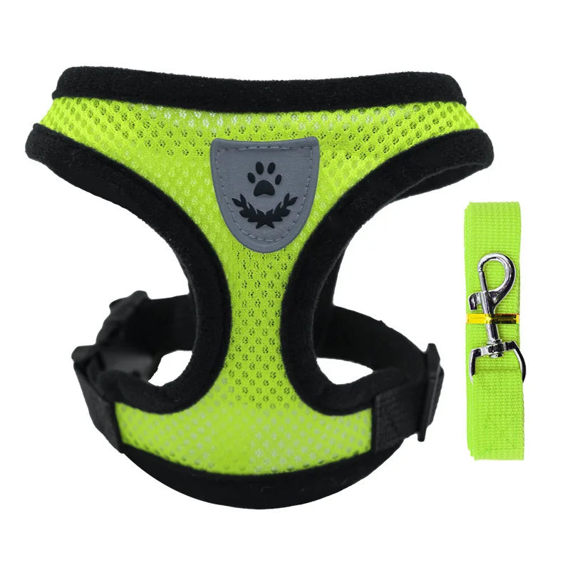 Summer small dog pet chest and back breathable dog chest and back suit cat outdoor traction rope child collar
